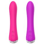 double mini vibrator